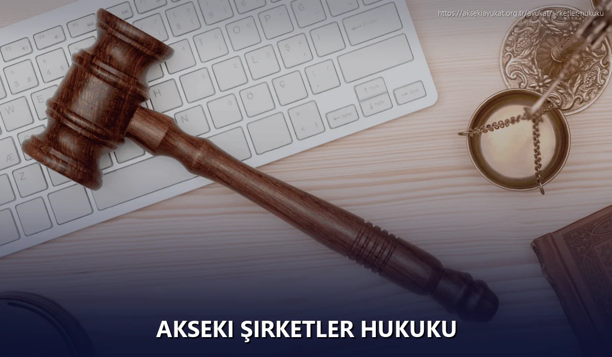 Akseki Şirketler Hukuku